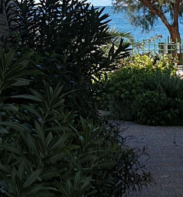 Garden Lefkanti, 4season Plaza Room Calcide Esterno foto